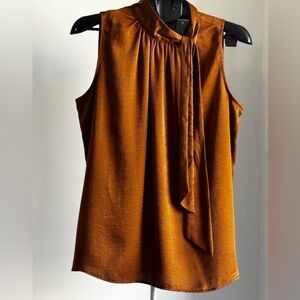 Elegant Sleeveless Brown Top